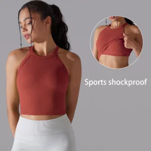 Soutien-gorge de sport pour femme, brassière de fitness avec coussinets de poitrine, sans coutures, double couche, antichoc, court, idéal pour la salle de sport et la course à pied.